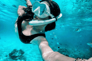 Мнемба и ферма специй