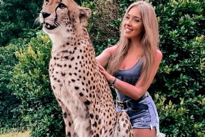 Зоопарк Cheetah’s Rock