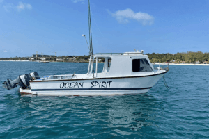 Индивидуальная рыбалка на яхте Ocean Spirit